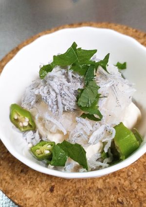 しらすとおろしのぶっかけ冷奴-レシピのメイン写真