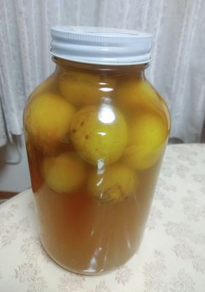 はちみつ 梅サワー-レシピのメイン写真