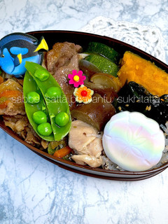 令和五年 文月三日 お弁当-レシピのメイン写真