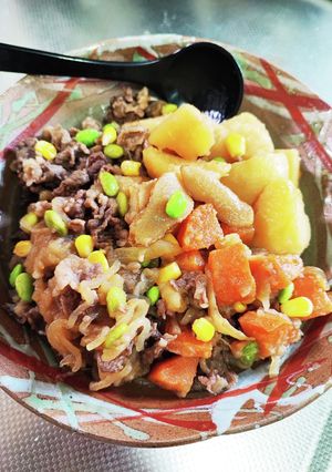 肉じゃがを生姜と共にいただく-レシピのメイン写真
