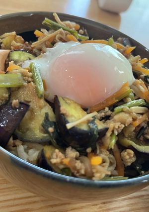 ビビンバリメイク 麻婆茄子丼-レシピのメイン写真