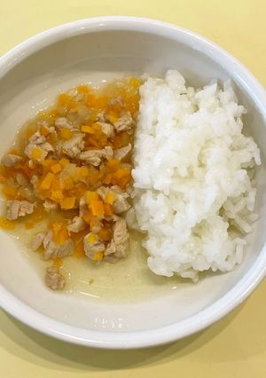 【保育園離乳食後期】鶏肉と野菜の煮物-レシピのメイン写真
