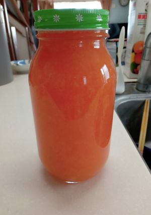 炊飯器で簡単プラムジュース-レシピのメイン写真