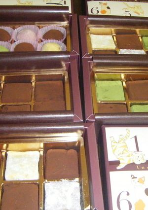 簡単生チョコ-レシピのメイン写真