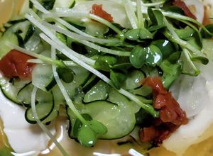 出しスープで頂く冷奴♪さっぱりで美味しい-レシピのメイン写真