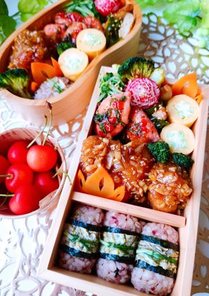 女子学生のお弁当（2023.7.5）-レシピのメイン写真