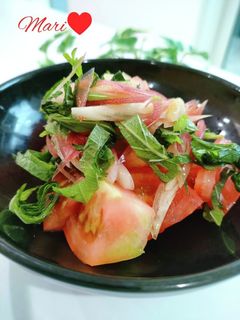 大葉みょうがのせ!トマトサラダ-レシピのメイン写真