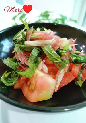 大葉みょうがのせ！トマトサラダ-レシピのメイン写真