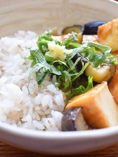 なすと厚揚げの甘酢だれ丼-レシピのメイン写真