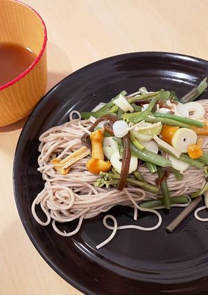 猛暑日にオススメ汁にこだわる山菜ざる蕎麦-レシピのメイン写真