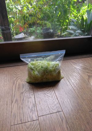 キャベツ-レシピのメイン写真