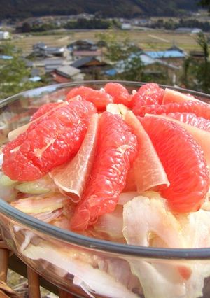 グレープフルーツ・サラダ♪ワイン醤油で-レシピのメイン写真