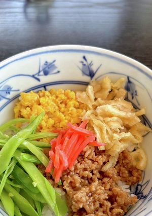 簡単#五色どんぶり-レシピのメイン写真