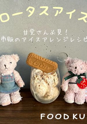 市販のアイスでロータスビスケットアイス-レシピのメイン写真