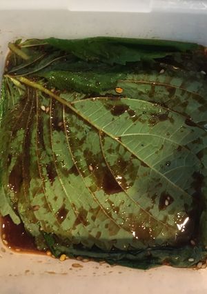 エゴマの醤油漬け-レシピのメイン写真