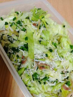 夏♪ミョウガとレタスのサラダ-レシピのメイン写真