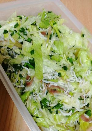夏♪ミョウガとレタスのサラダ-レシピのメイン写真