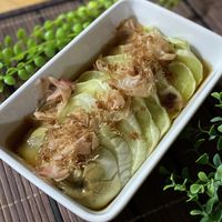 とろける白ナスの魅力を堪能！簡単で旬を味わう具体的なレシピ集