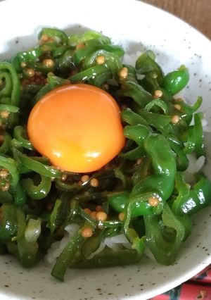 ピーマンたっぷり丼-レシピのメイン写真