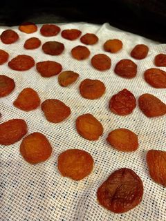 干しあんずと杏シロップ-レシピのメイン写真