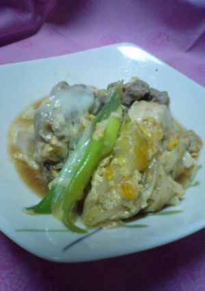 ふわとろつゆだく肉豆腐-レシピのメイン写真