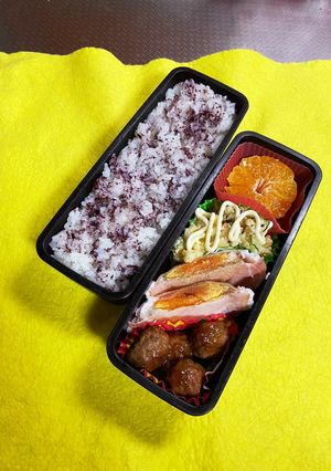 高校生男子弁当20230711-レシピのメイン写真