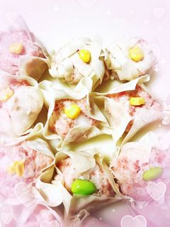 ジューシー焼売、余った皮やタネでスープも-レシピのメイン写真