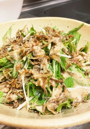 カリカリじゃこの豆腐サラダ-レシピのメイン写真