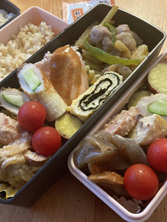 高校生男子弁当349 女子弁当58-レシピのメイン写真