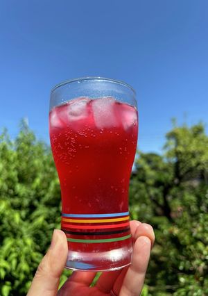 夏の味！紫蘇シロップ-レシピのメイン写真