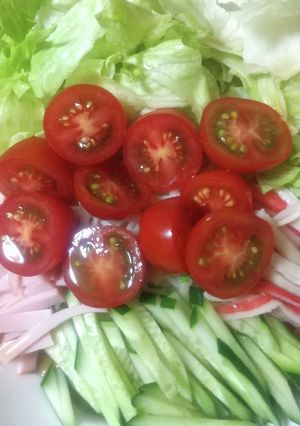冷し中華風素麺-レシピのメイン写真