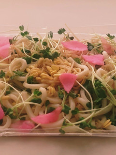 «豆もやし貝割れ大根桜漬サラダうどん»-レシピのメイン写真