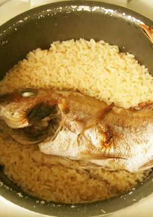 鯛めし餅-レシピのメイン写真