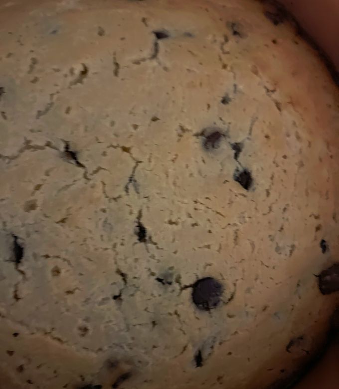 イタリアンリコッタケーキ２０２３-レシピのメイン写真