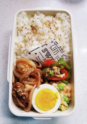 ★高校生息子のお弁当★51-レシピのメイン写真