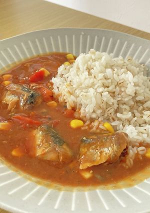 缶詰とレンジのみ！サバのトマトカレー-レシピのメイン写真