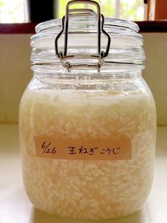 簡単!玉ねぎ麹-レシピのメイン写真
