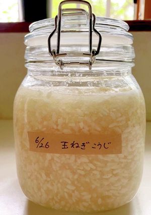 簡単！玉ねぎ麹-レシピのメイン写真