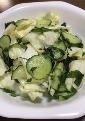 キャベツの塩もみ-レシピのメイン写真
