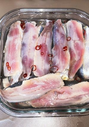 カタボシイワシ、ママカリ(サッパ)の酢漬-レシピのメイン写真