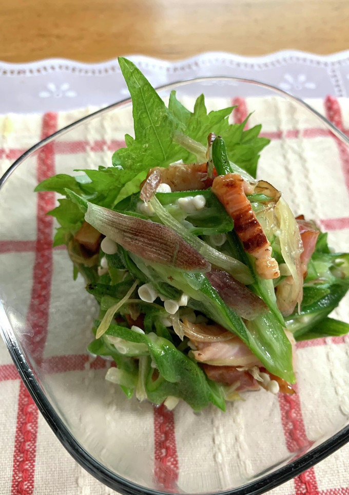 オクラとみょうがのさっぱり和え♪-レシピのメイン写真