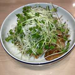 白髪ネギと豚肉の中華風サラダ？-レシピのメイン写真