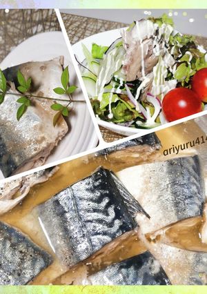 圧力鍋de骨までOKサバ缶水煮風-レシピのメイン写真