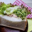 【家庭菜園】胡瓜豆苗レタス入りツナサンド