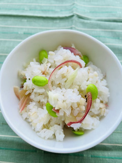 枝豆ごはん-レシピのメイン写真