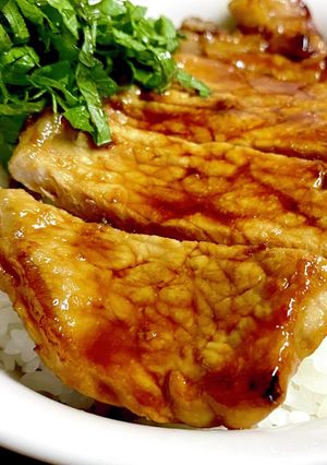蒲焼きのタレで・豚の蒲焼き丼-レシピのメイン写真