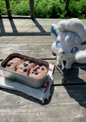 メスティンでコケモモ蒸しパン-レシピのメイン写真