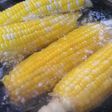 必見!!甘くなるトウモロコシの茹で方