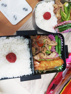 高校生男子&新入社員女子 弁当-レシピのメイン写真