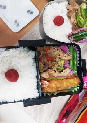高校生男子&新入社員女子　弁当-レシピのメイン写真